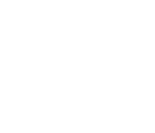 Аналитик