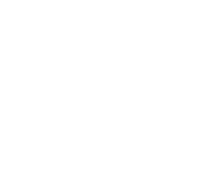 Frontend Developer
