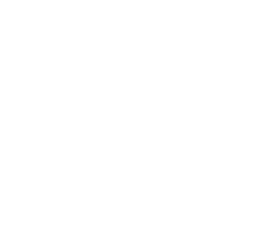Лидер